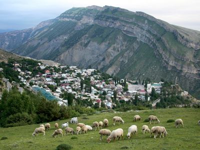 Фото: skandaly.ru Фото: skandaly.ru